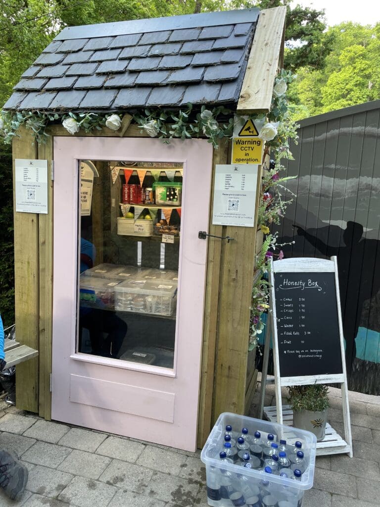 ben Lomond hiking guide