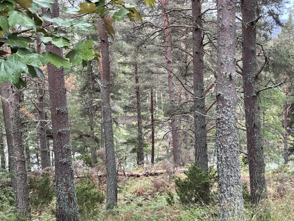 from Glasgow to Aberdeen