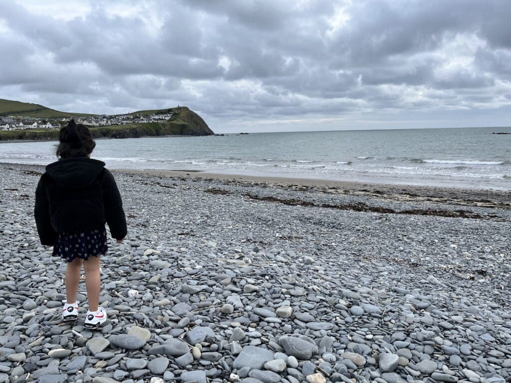 Mid Wales Borth beach