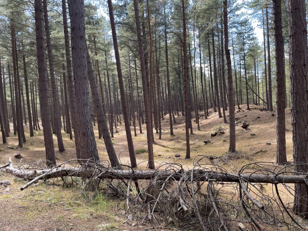 Weekend Trip to Highland Scotland