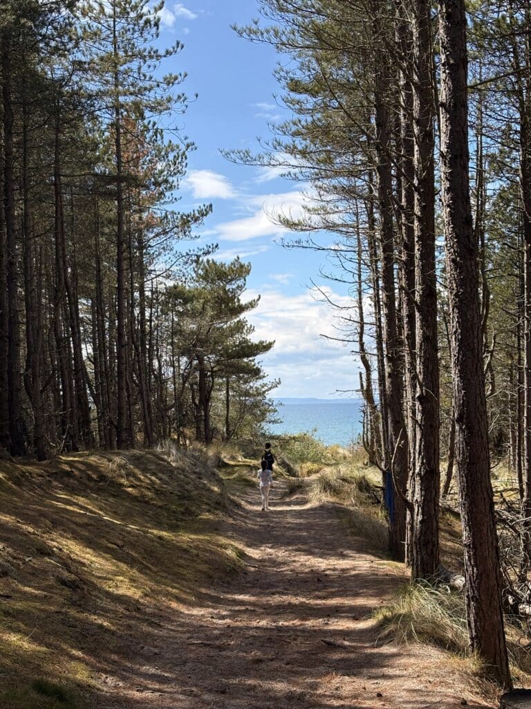 walk in the wood highland