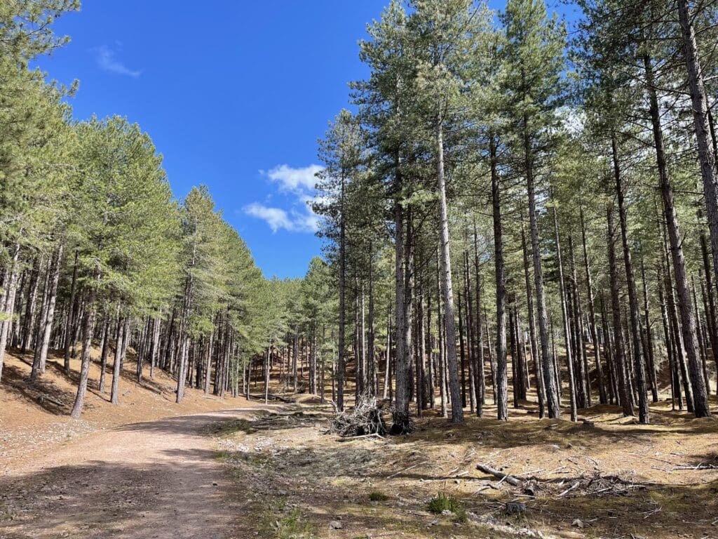 Weekend Trip to Highland Scotland