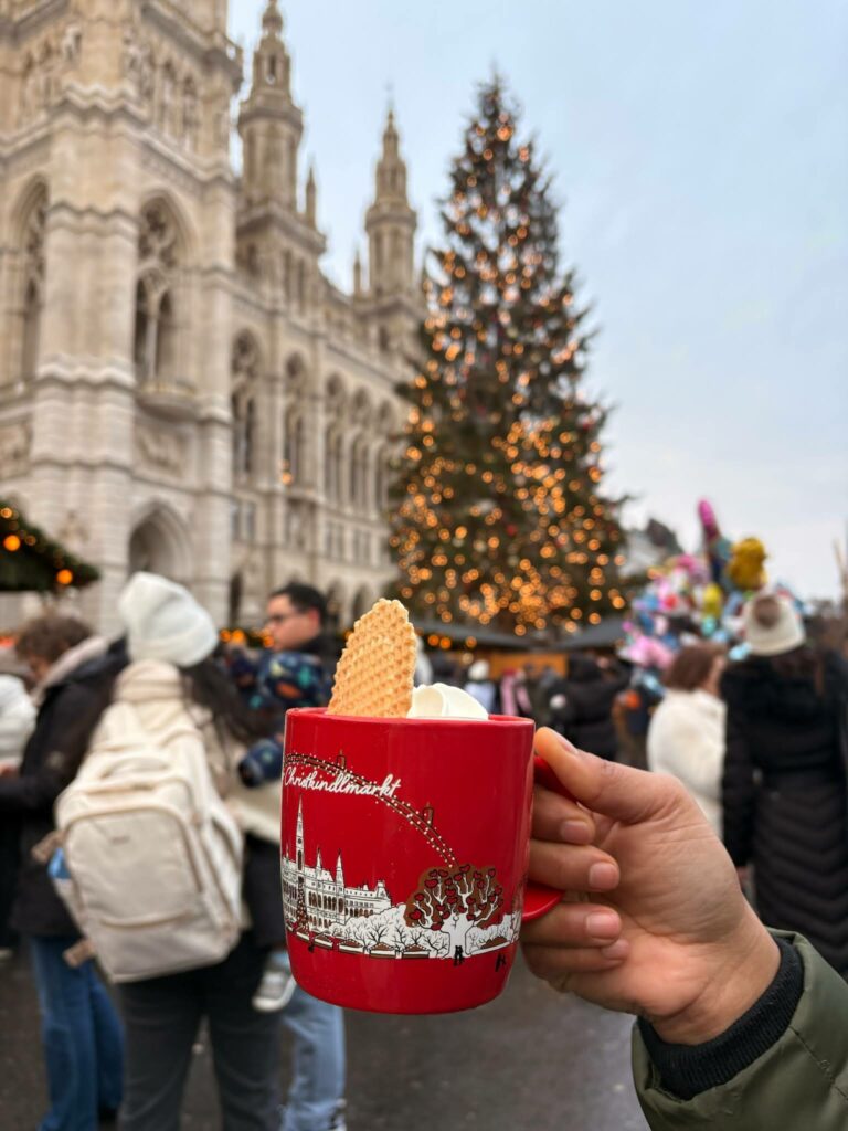 Vienna Christmas market