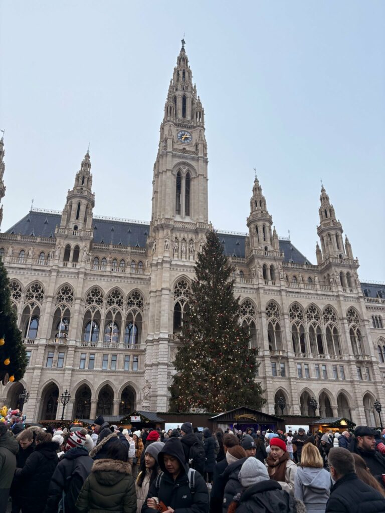 Vienna Rathausplatz