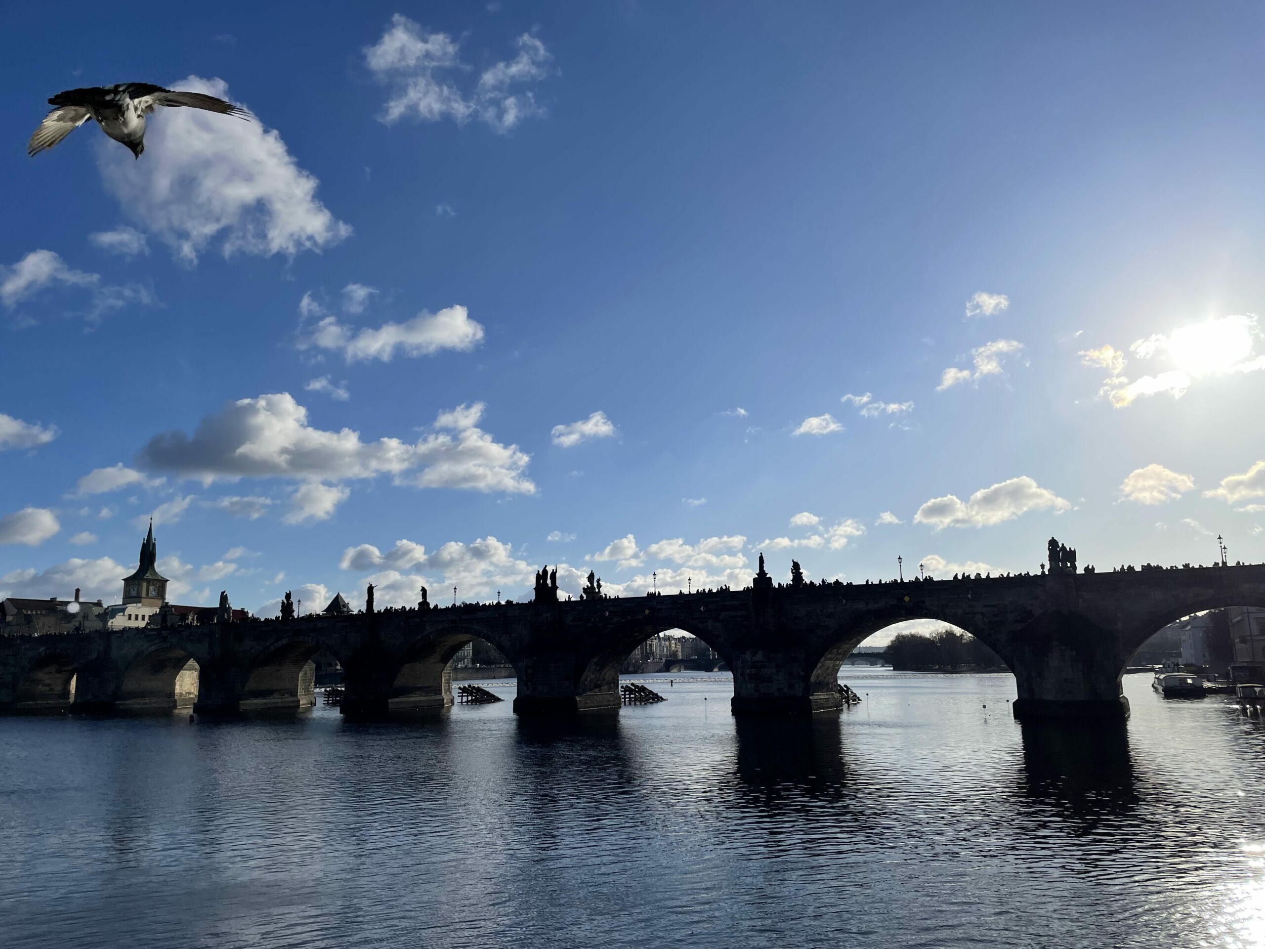 Charles Bridge Prague winter