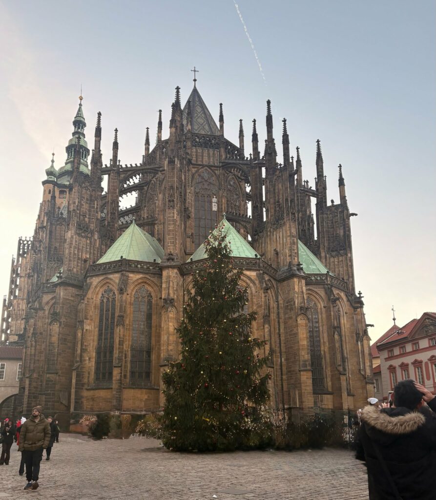 Prague trip in winter Castle Gardens winter