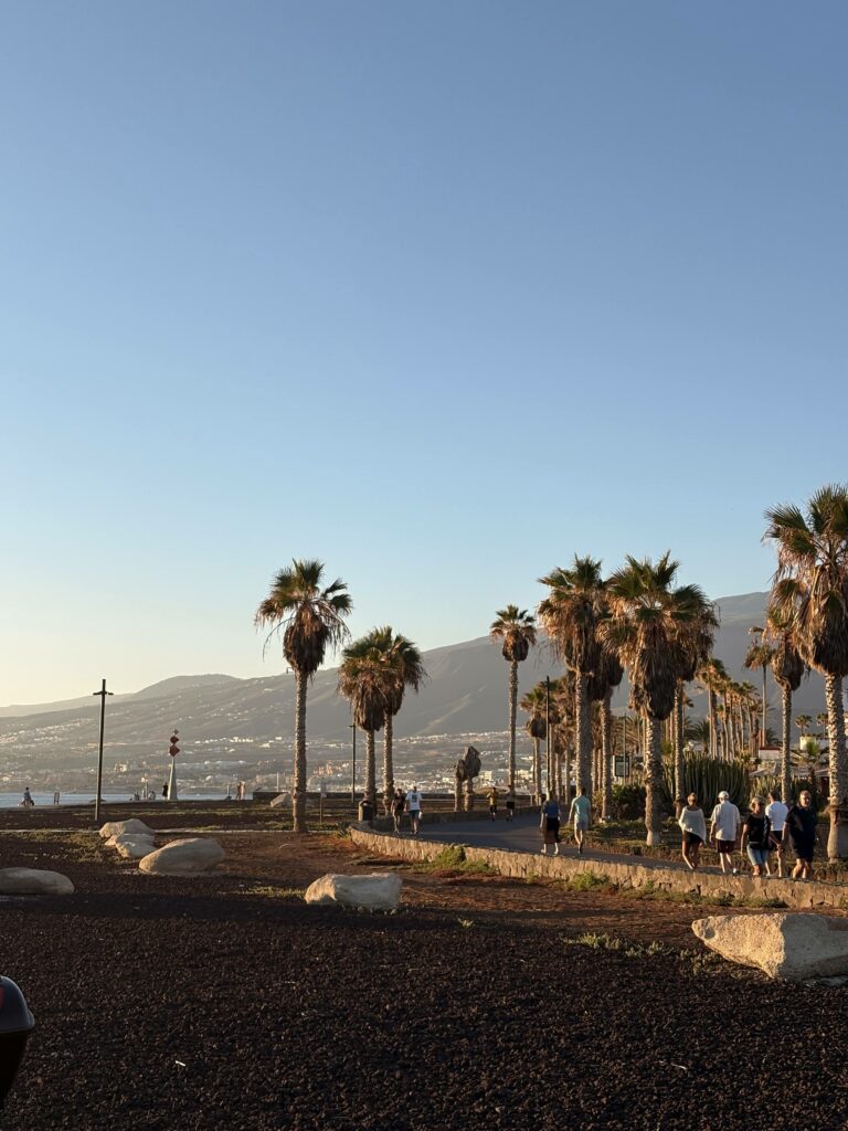 tenerife Playa de las Vistas beach walk